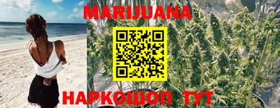 прущие крисы Донецк