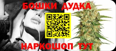 спиды Дубна