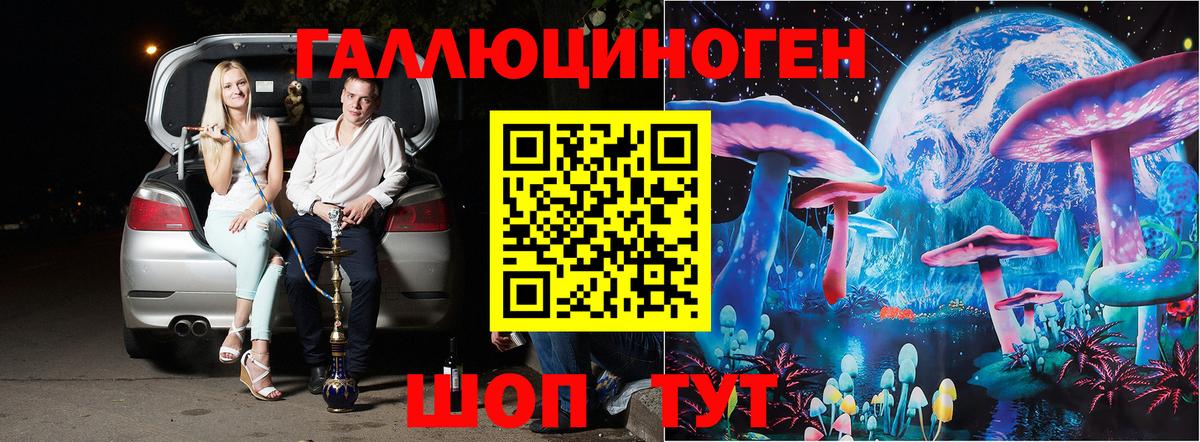 Псилоцибиновые грибы Psilocybine cubensis Междуреченск