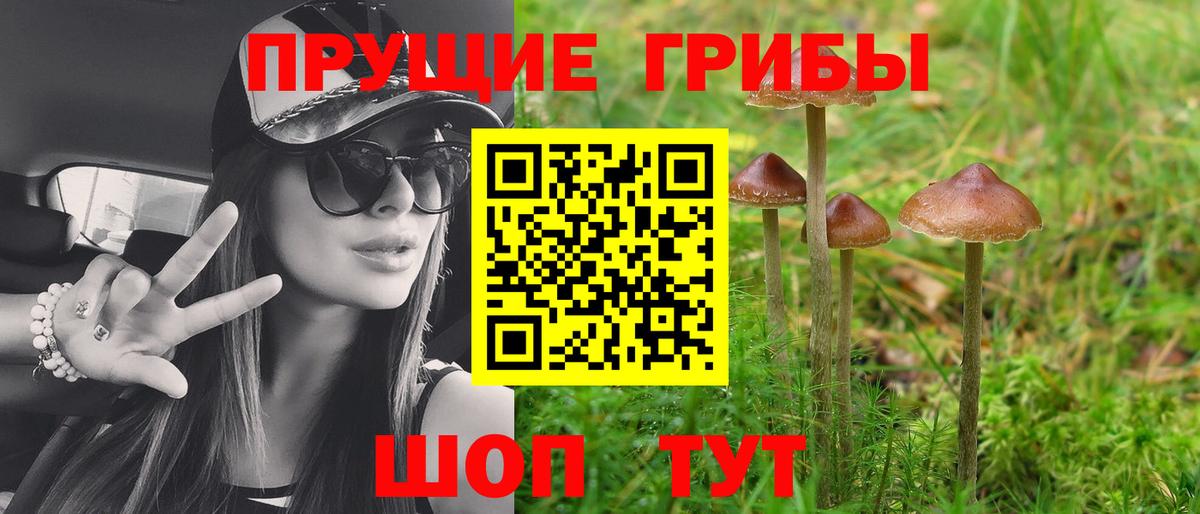 Галлюциногенные грибы GOLDEN TEACHER  Псилоцибиновые грибы Cubensis  Междуреченск  Вход с VPN 